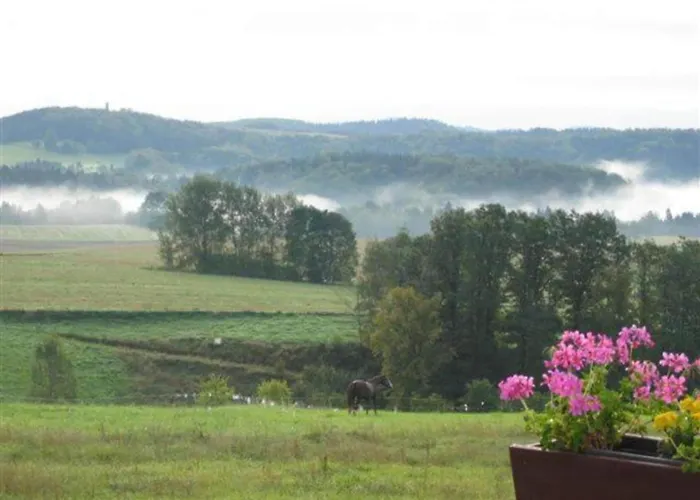 Family Fun Апартаменты